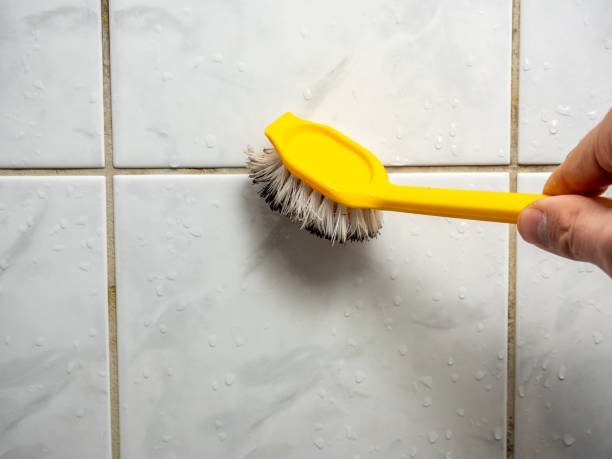 Best Mold Remediation  in Mascoutah, IL
