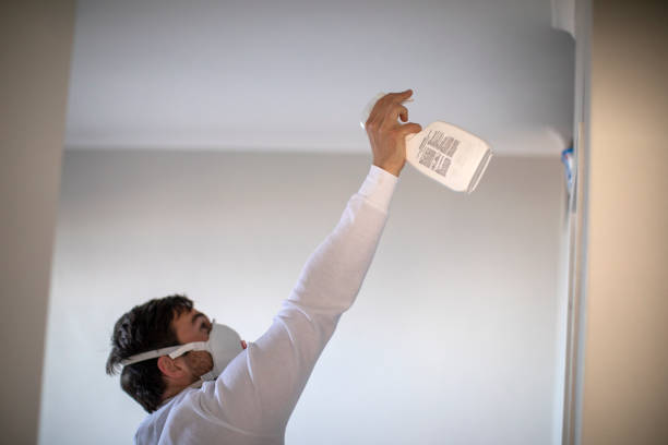 Best Certified Mold Removal  in Mascoutah, IL