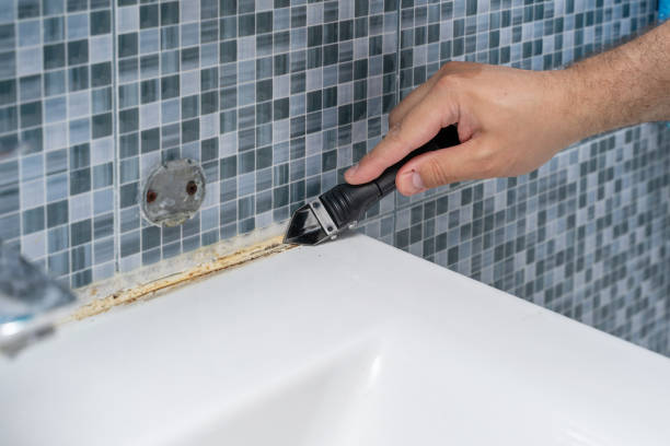 Best Professional Mold Removal  in Mascoutah, IL