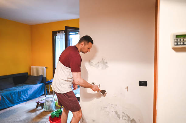 Best Residential Mold Removal  in Mascoutah, IL